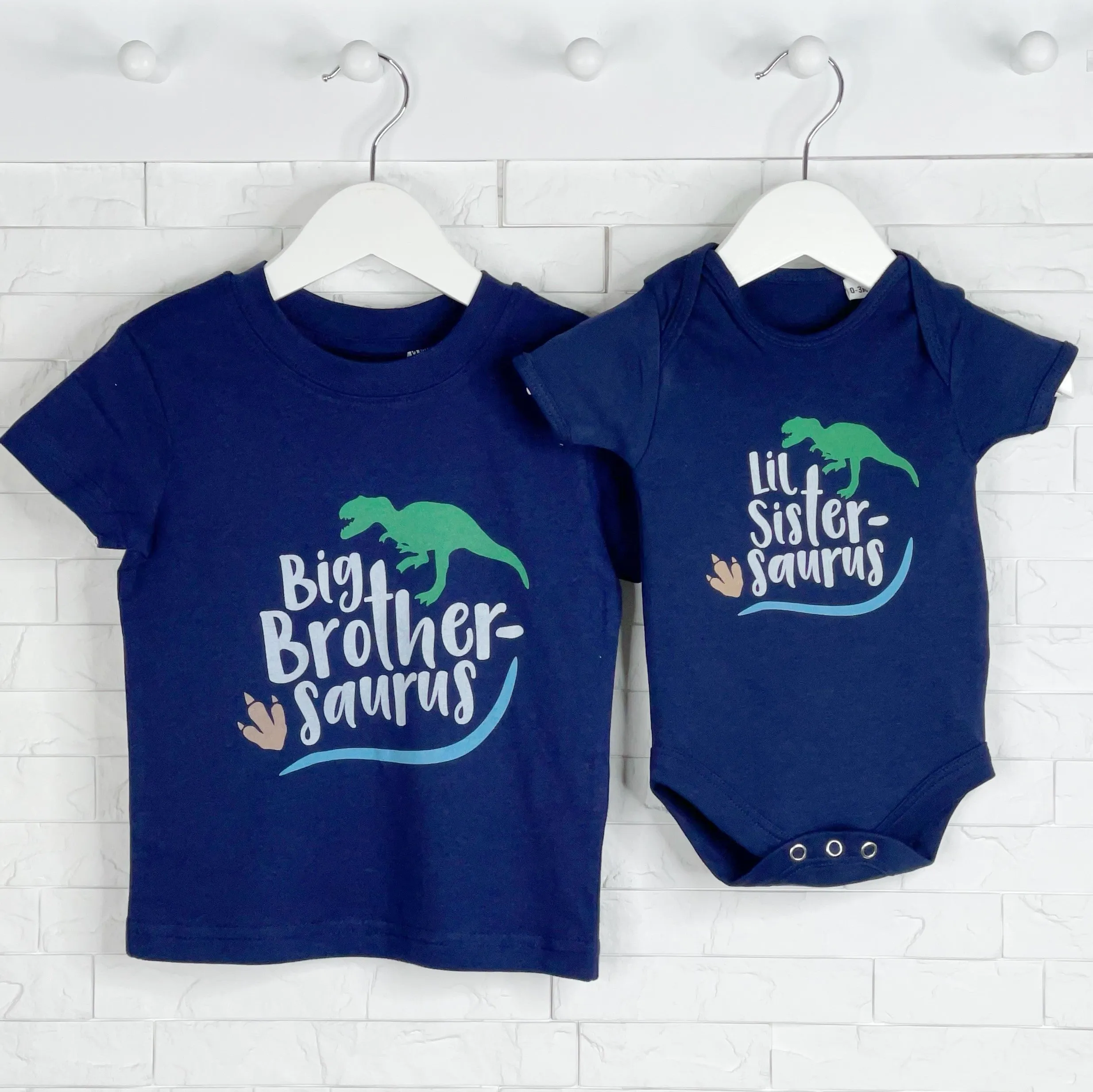Big Brother Little Brother Saurus Dinosaur T Shirt Set