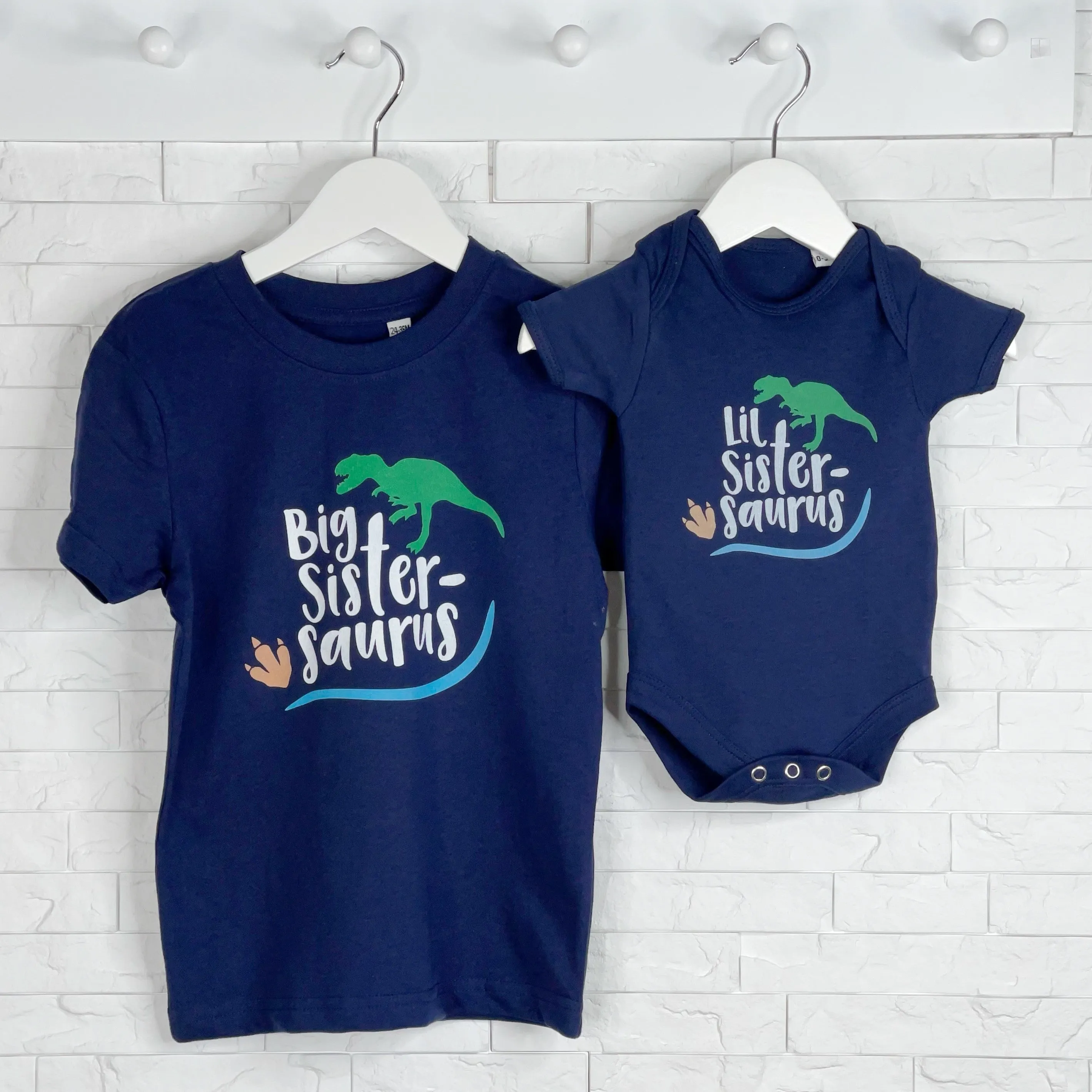 Big Brother Little Brother Saurus Dinosaur T Shirt Set