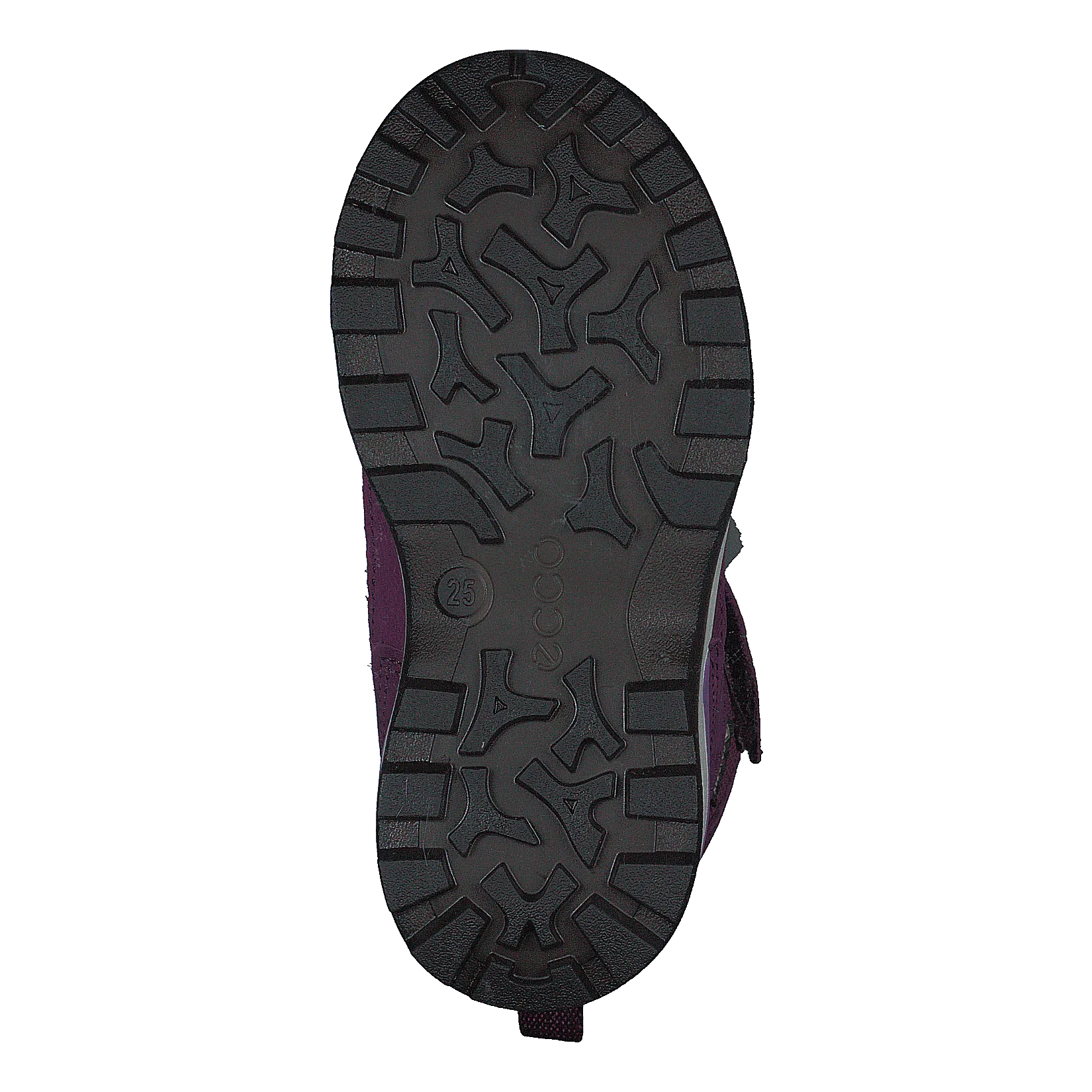 Ecco Snow Mountain Black/dark Purple/dark Purple
