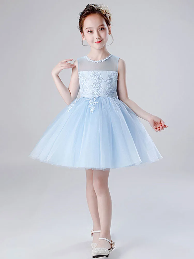 Jewel Neck Tulle Sleeveless Short Princess Embroidered Kids Social Party Dresses