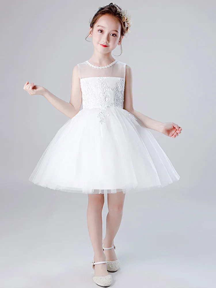 Jewel Neck Tulle Sleeveless Short Princess Embroidered Kids Social Party Dresses