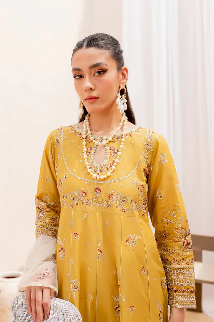 Mustered Embellished Frock Trousers Pakistani Party Wear