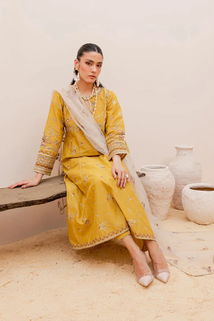 Mustered Embellished Frock Trousers Pakistani Party Wear