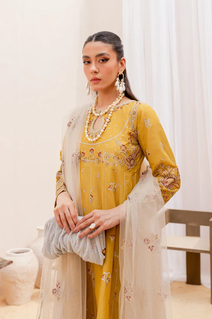 Mustered Embellished Frock Trousers Pakistani Party Wear