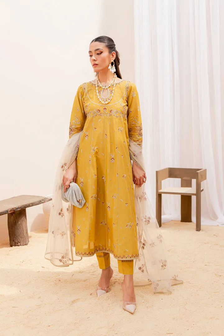 Mustered Embellished Frock Trousers Pakistani Party Wear