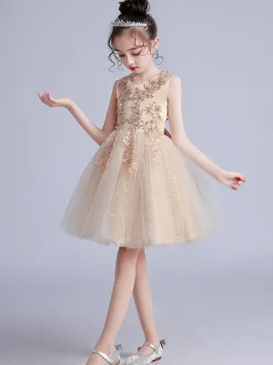 Pink Jewel Neck Short Sleeves Embroidered Formal Kids Pageant flower girl dresses