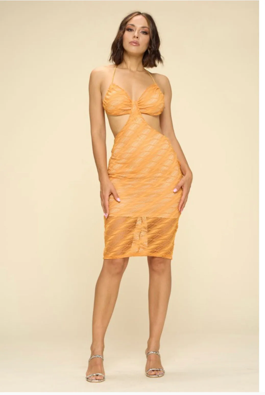RIYA CUTOUT OPEN BACK MESH MIDI DRESS