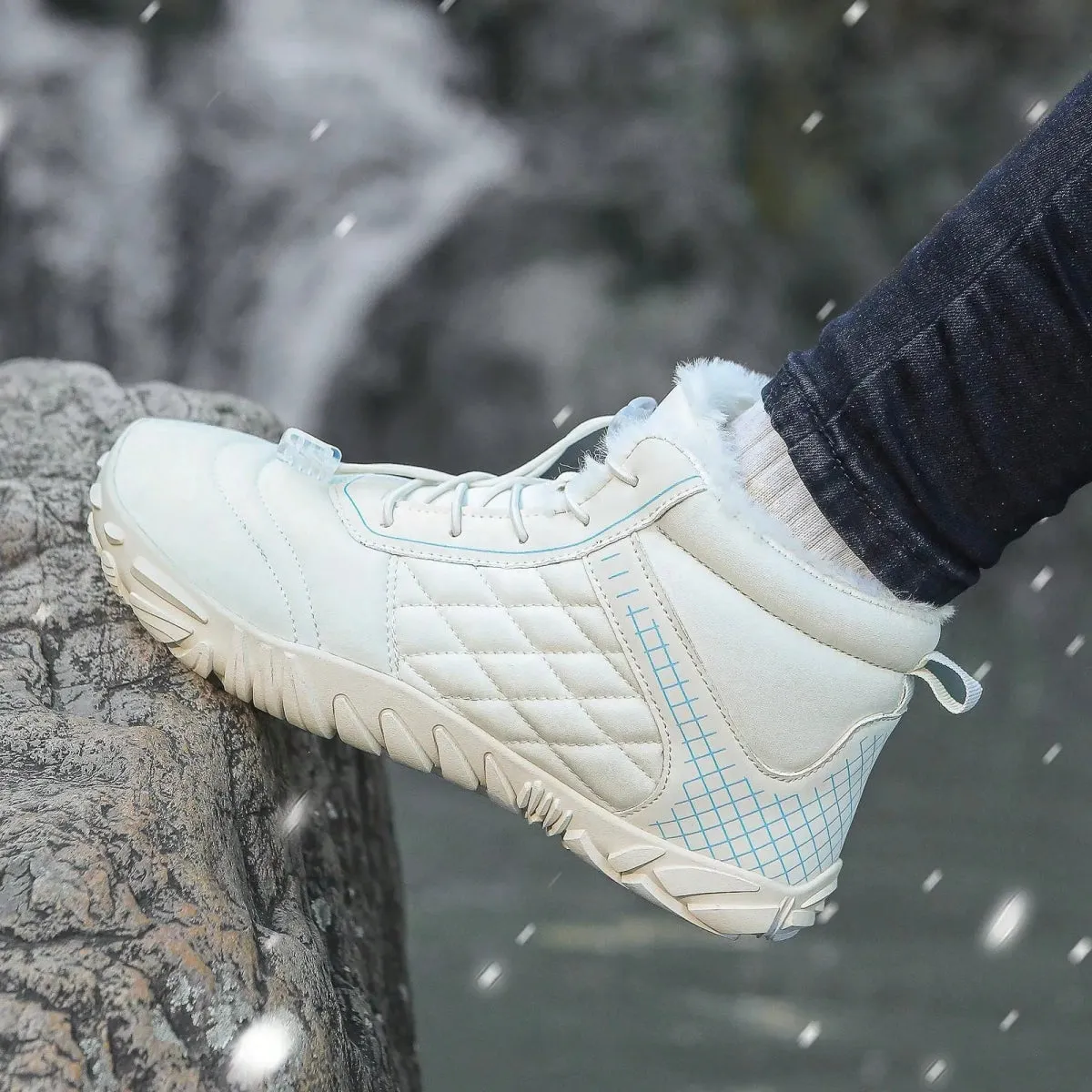 Winter Walk